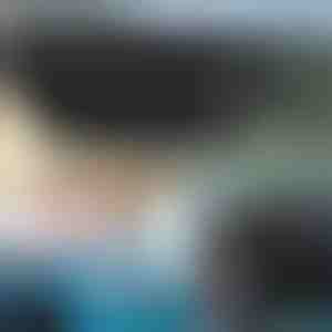 Auto tuuleklaasi päikesevarju vihmavari | SHADESHELLA