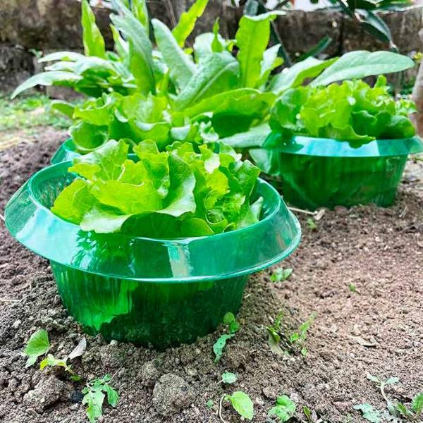 VEGISHIELD-GALLERY-IMG7-min