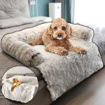 PAWNEST