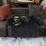 PAWNEST