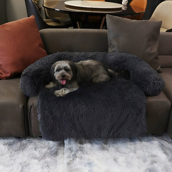 PAWNEST