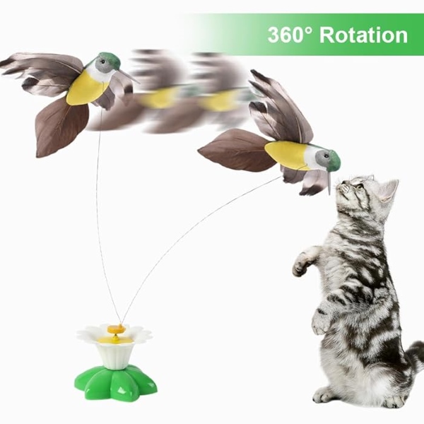 BIRDIETOY