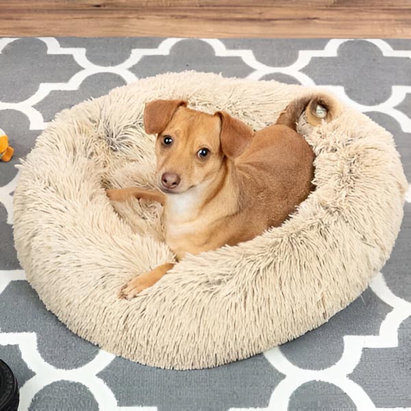 COMFYDEN