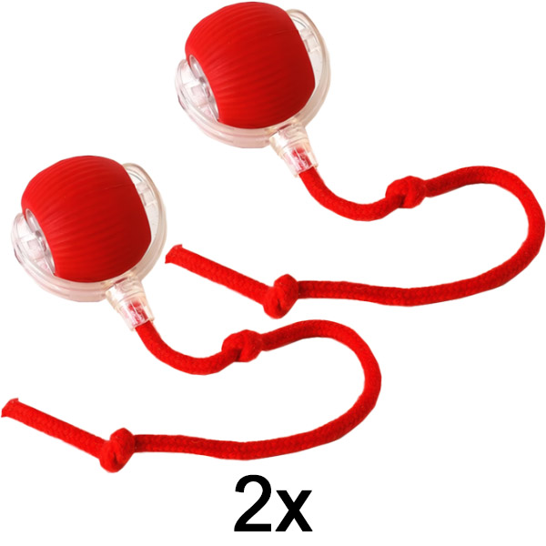 2x Lemmikloomade mänguasi, mis liigub puudutusel | GATOPLAY