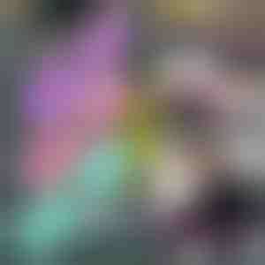 Harjutuspaelad (3 tk) | FITSTRAPS