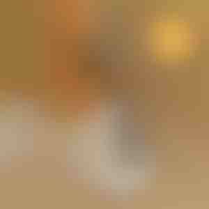 Paindumatu kingaabi | SHOEVA