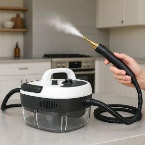 Kõrgsurve aurupuhasti | STEAMAX