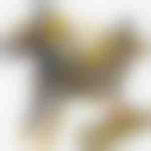 Magnetiline dinosaurusautode mänguasi | ROARWHEEL