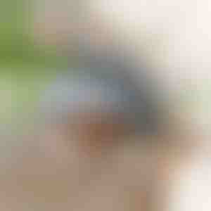 Interaktiivne lehviv lindmänguasi | CHIRRCAT