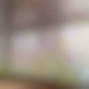 Elav lilleline aknakleebis | FLORASTIK